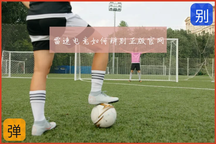 雷速电竞如何辨别正版官网